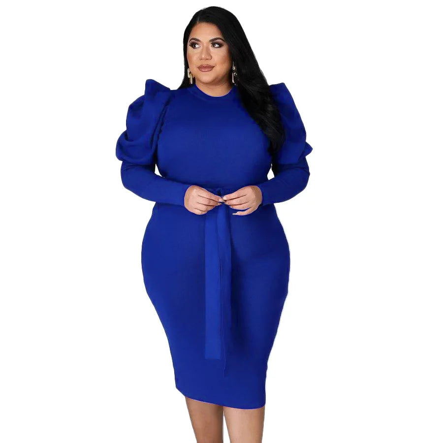 Women's Puff Sleeve Plus Size Dress