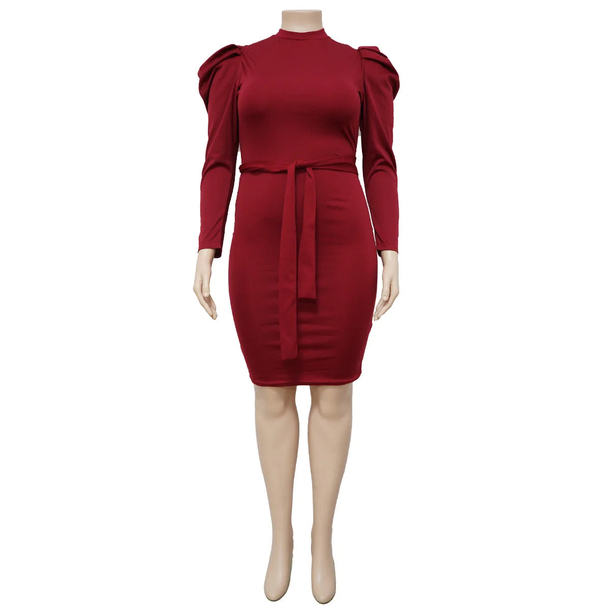 Women's Puff Sleeve Plus Size Dress